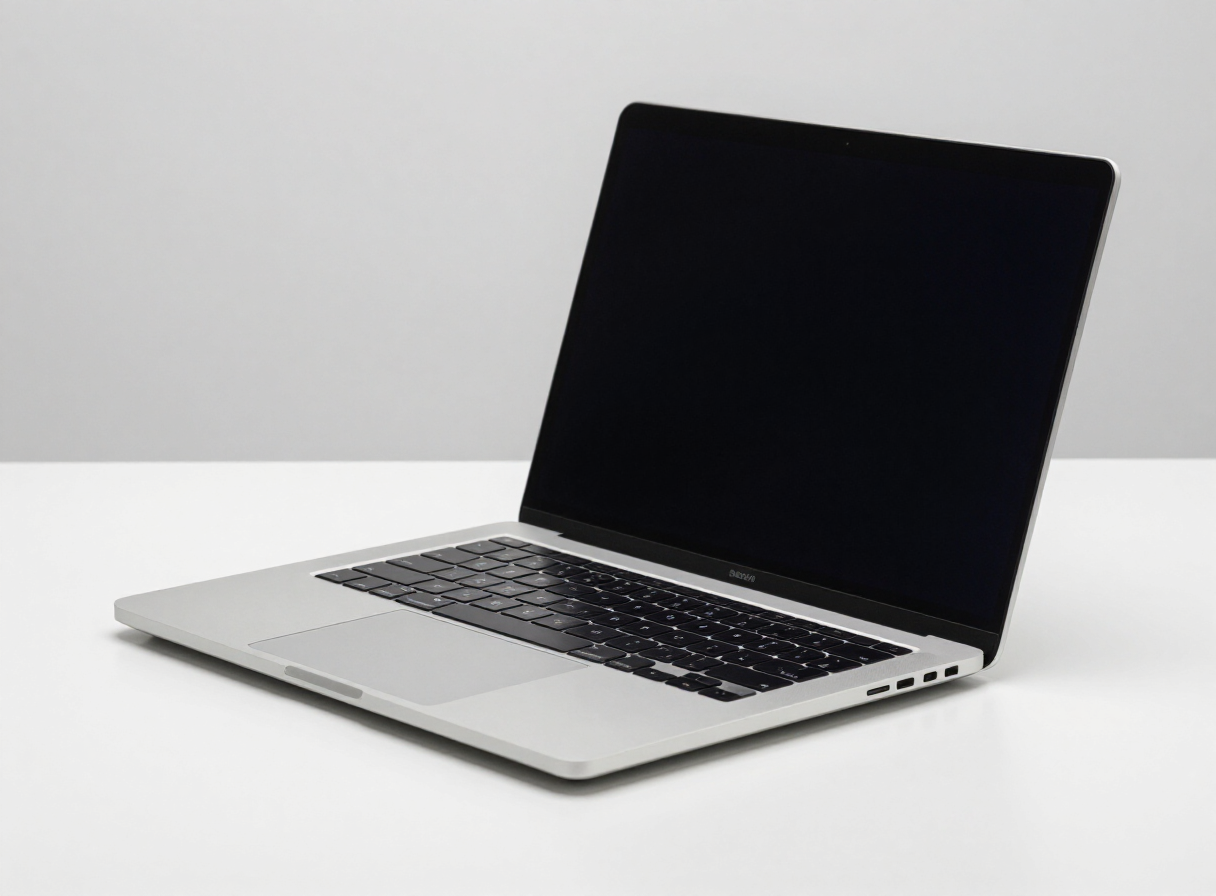 Ultrabook / Thin-and-Light Laptop